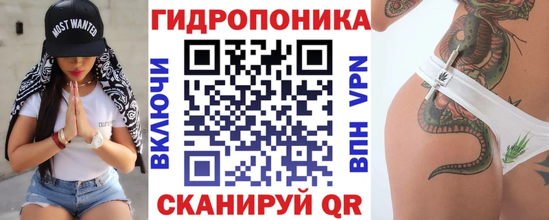 Купить наркотик аптеки Сургут Конопля  ссылка на мегу вход  Гашиш  Амфетамин  Псилоцибиновые грибы  Мефедрон  Alpha PVP 