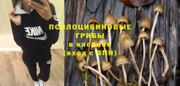 трава Горнозаводск