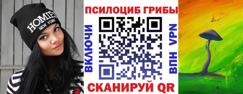 Галлюциногенные грибы Psilocybe  Сургут 