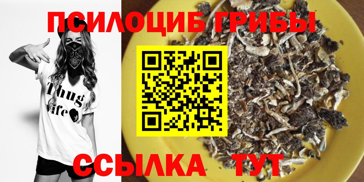 Псилоцибиновые грибы Magic Shrooms  Вход с VPN  Сургут 